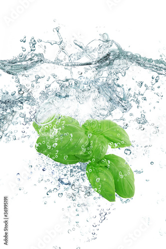 Photo: basilico splash basilico splash