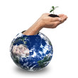 ecologie sortant de terre