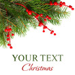 Photo: Christmas background with Xmas green fir tree Christmas background with Xmas green fir tree