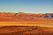 desert landscape