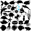 A Vector Silhouette of Fish, Sealife, (Marine life, seafood)