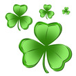 Four Bright green shamrocks isolated over white background