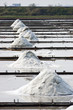 Foto: salt farm salt farm