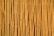 Background Texture Of A Bamboo Fence In The Tropics