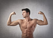 Muscles