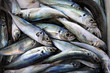 fresh fish