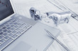 Foto: Bull and bear with laptop and pen Bull and bear with laptop and pen