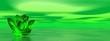 Lily flower in green ocean