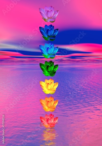 Illustration: Chakra colors of lily flower Chakra colors of lily flower