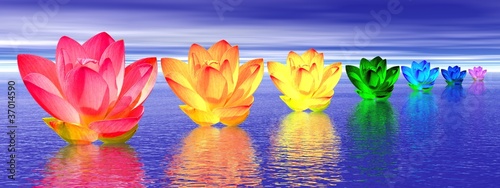 Illustration: Lily flowers chakras by night Lily flowers chakras by night