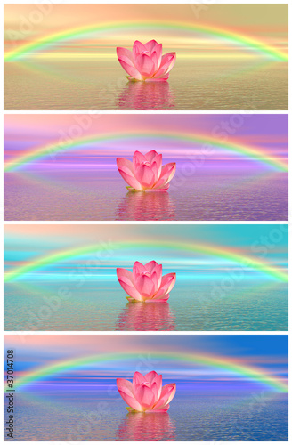 Illustration: Lily flowers under rainbow Lily flowers under rainbow