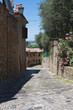 Alleyway. Santarcangelo of Romagna. Emilia-Romagna. Italy. Alleyway. Santarcangelo of Romagna. Emilia-Romagna. Italy.