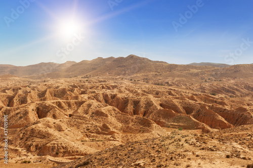 Fototapeta Sahara