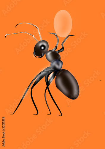 Vector: oeuf oeuf