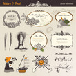 Nature & food vector elements