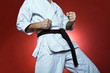 Karate training