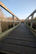 Walkway through the Reeds