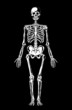 White skeleton on black. Separate layers. Vector illustration.