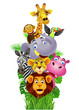Funny animals Funny animals