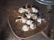 Cloves of garlic Cloves of garlic