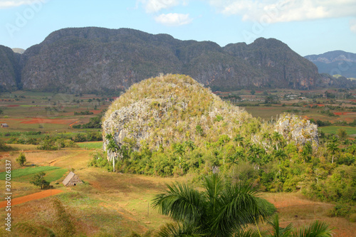 Photo: Cuba - karstic landscape in Vinales National Park Cuba - karstic landscape in Vinales National Park