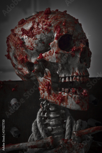 Photo: Skinned skull Skinned skull