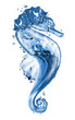 Water Sea horse Water Sea horse