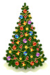 Сhristmas tree on white background