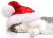 Weihnachten
