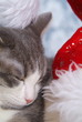Weihnachten