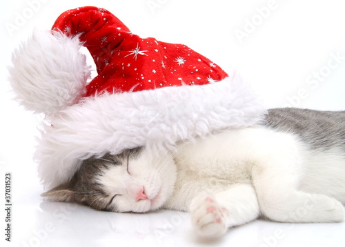 Photo: Weihnachten Weihnachten