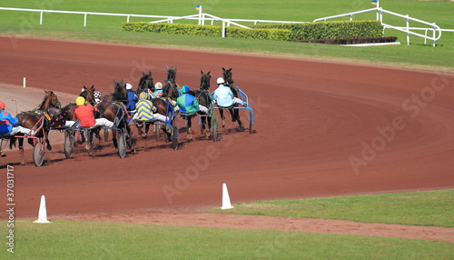 Photo: course de trot attelé course de trot attelé