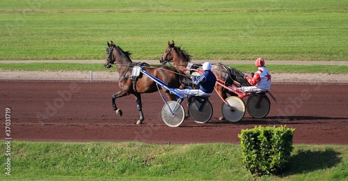 Photo: trotteurs trotteurs