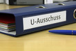 Foto: U-Ausschuss U-Ausschuss