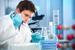 scientist working at the laboratory scientist working at the laboratory