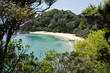 Whale Bay, New Zealand