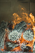 Logs burning in wood oven