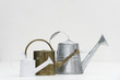Watering cans of various sizes