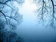 Seeufer im Nebel Querformat