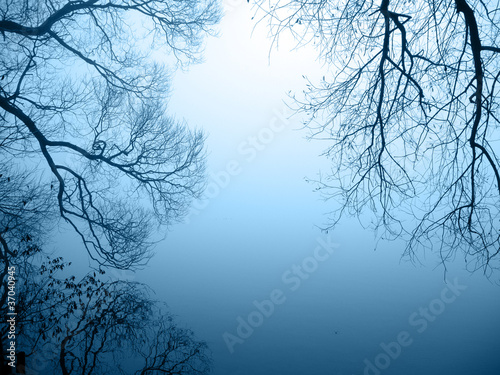 Photo: Seeufer im Nebel Querformat Seeufer im Nebel Querformat