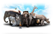 Zoo Animal Friends