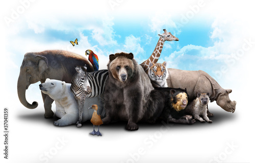 Photo: Zoo Animal Friends Zoo Animal Friends