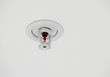 Fire Sprinkler