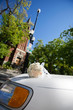 Foto: Wedding Limo by Church Wedding Limo by Church