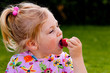 Foto: Kind beim Essen einer Erdbeere im Garten Kind beim Essen einer Erdbeere im Garten