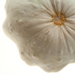 patisson close-up