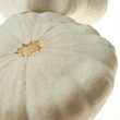 macro shot of patisson