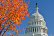 Washington DC, Capitol Buildin...