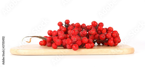 Photo: Still life with red natural rowan on a white background Still life with red natural rowan on a white background