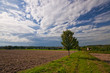 Landschaft im Sauerland